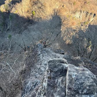 鷹戻し先に行かせてもらいました
ありがとうございます