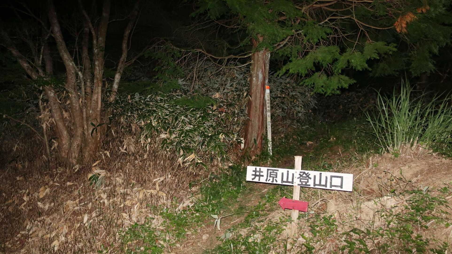 林道過ぎて山頂まで急登