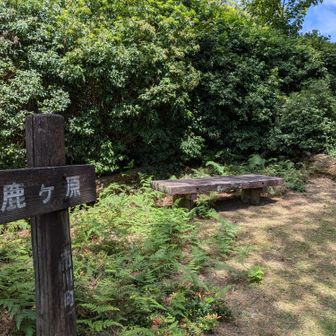 お休み処