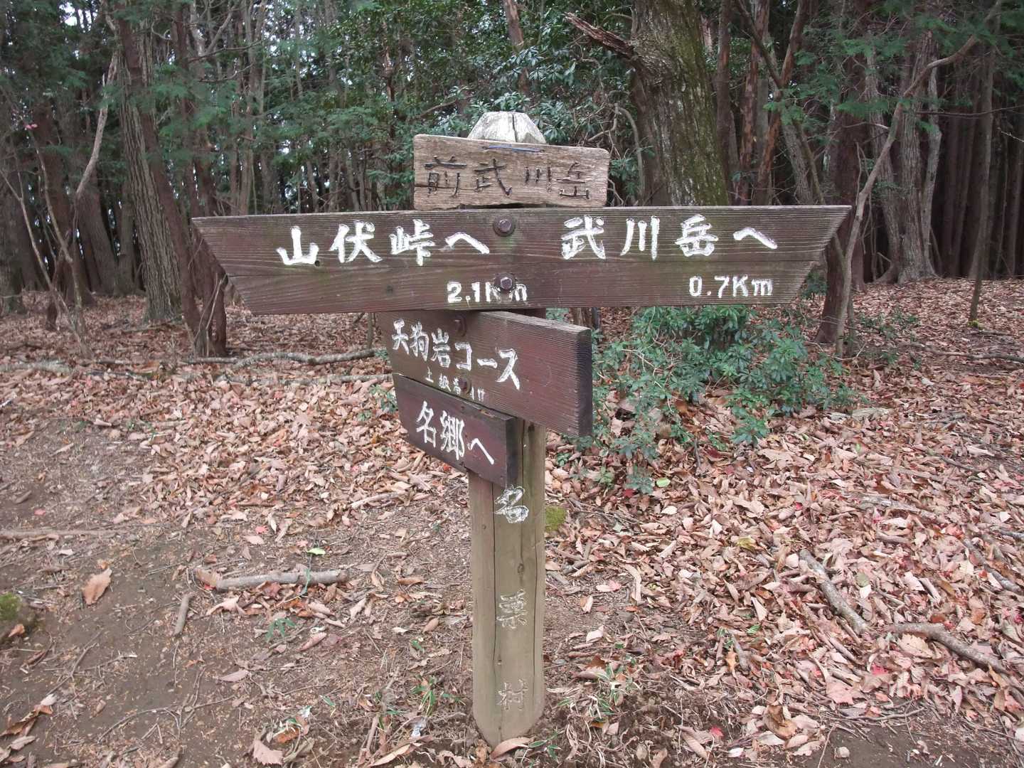 前武川岳に到着。