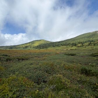 そして湿原を抜けなだらかな登山道⛰️