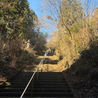 この参道登るのは今年は141回目である