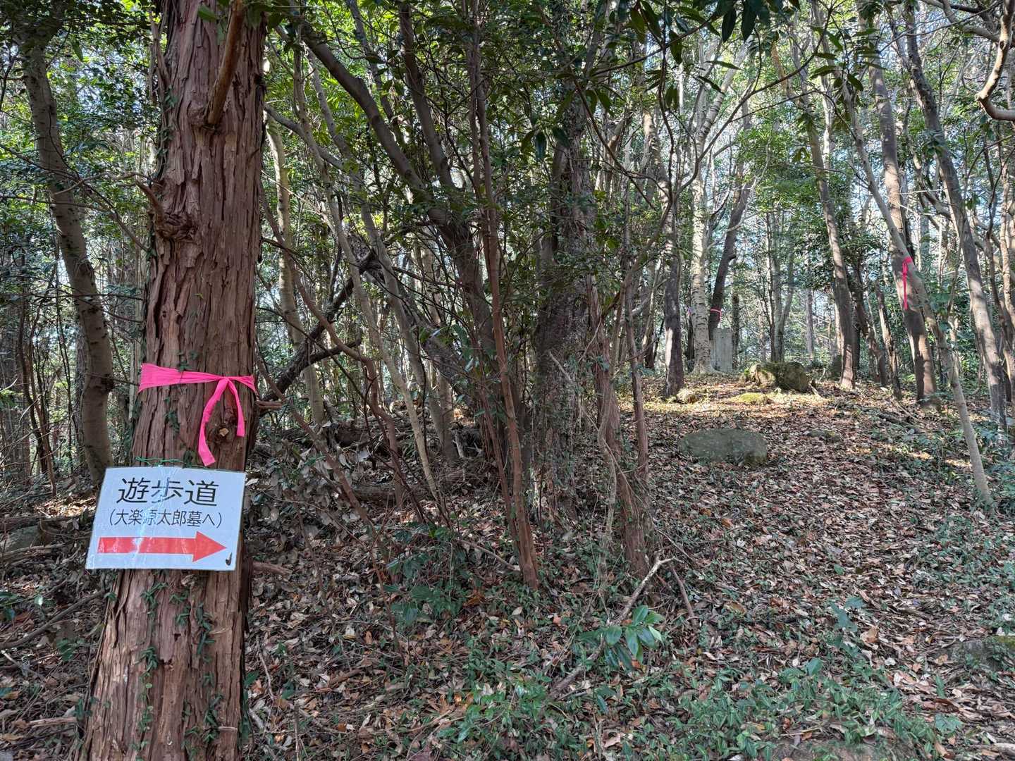 柴山 山頂に向かいます