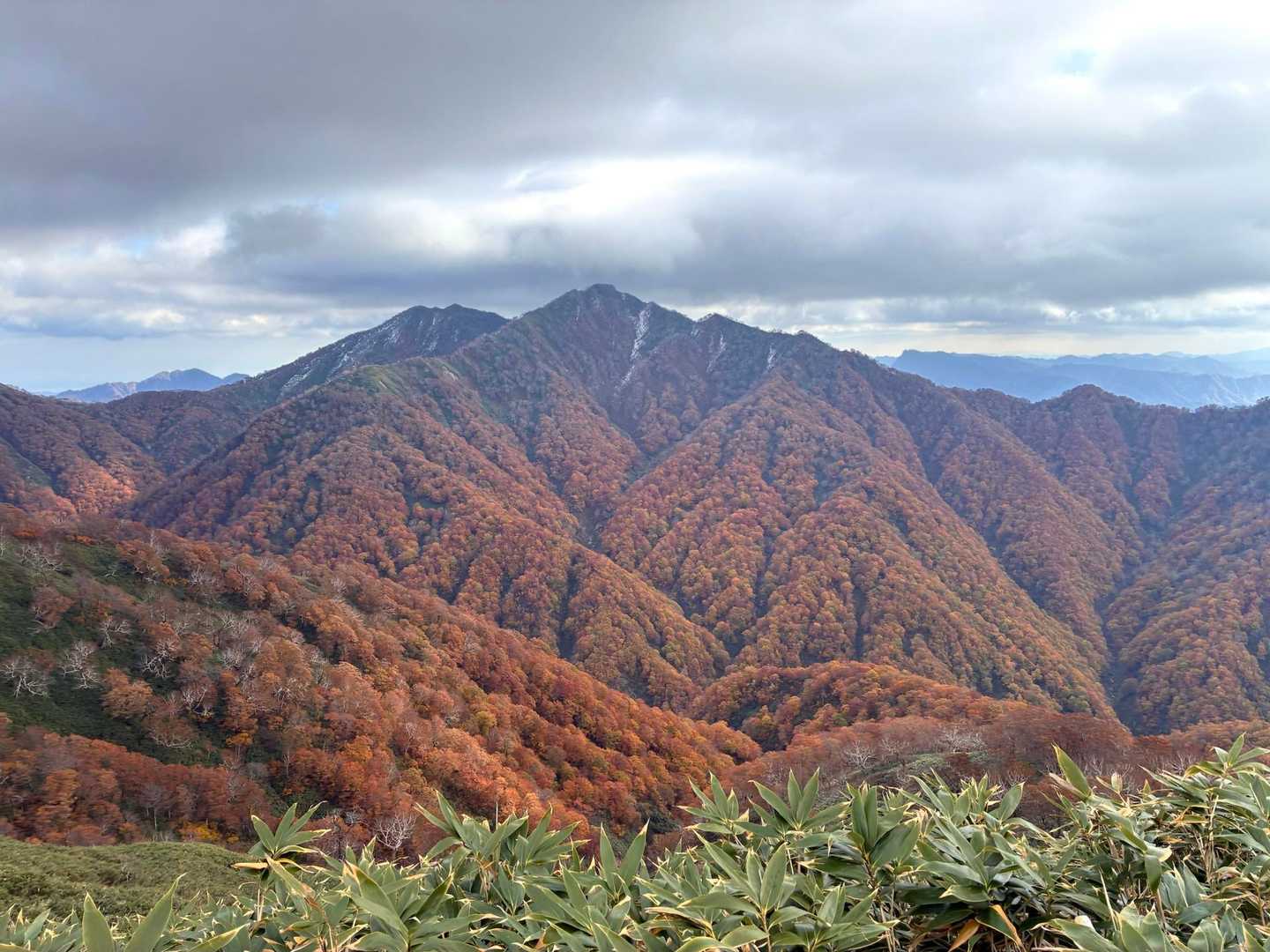 道南は広葉樹多いから山一面赤くなるのがいいよね