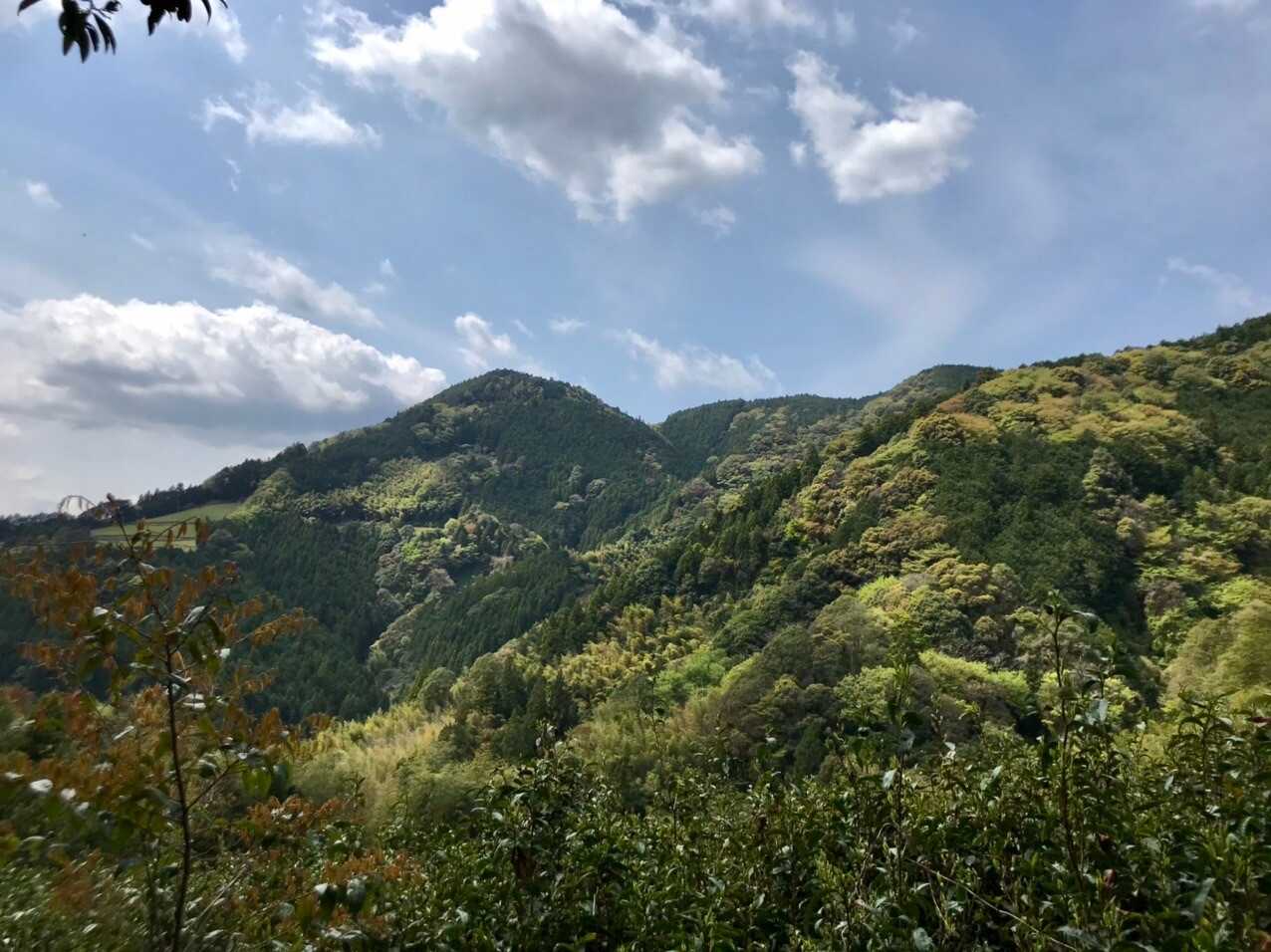 笠張山の写真