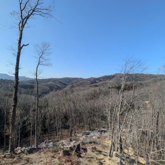八幡山から少し先の高台