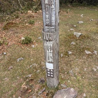 扇ノ山山頂⛰️