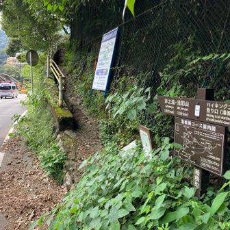 この登山口はわかりにくい。
