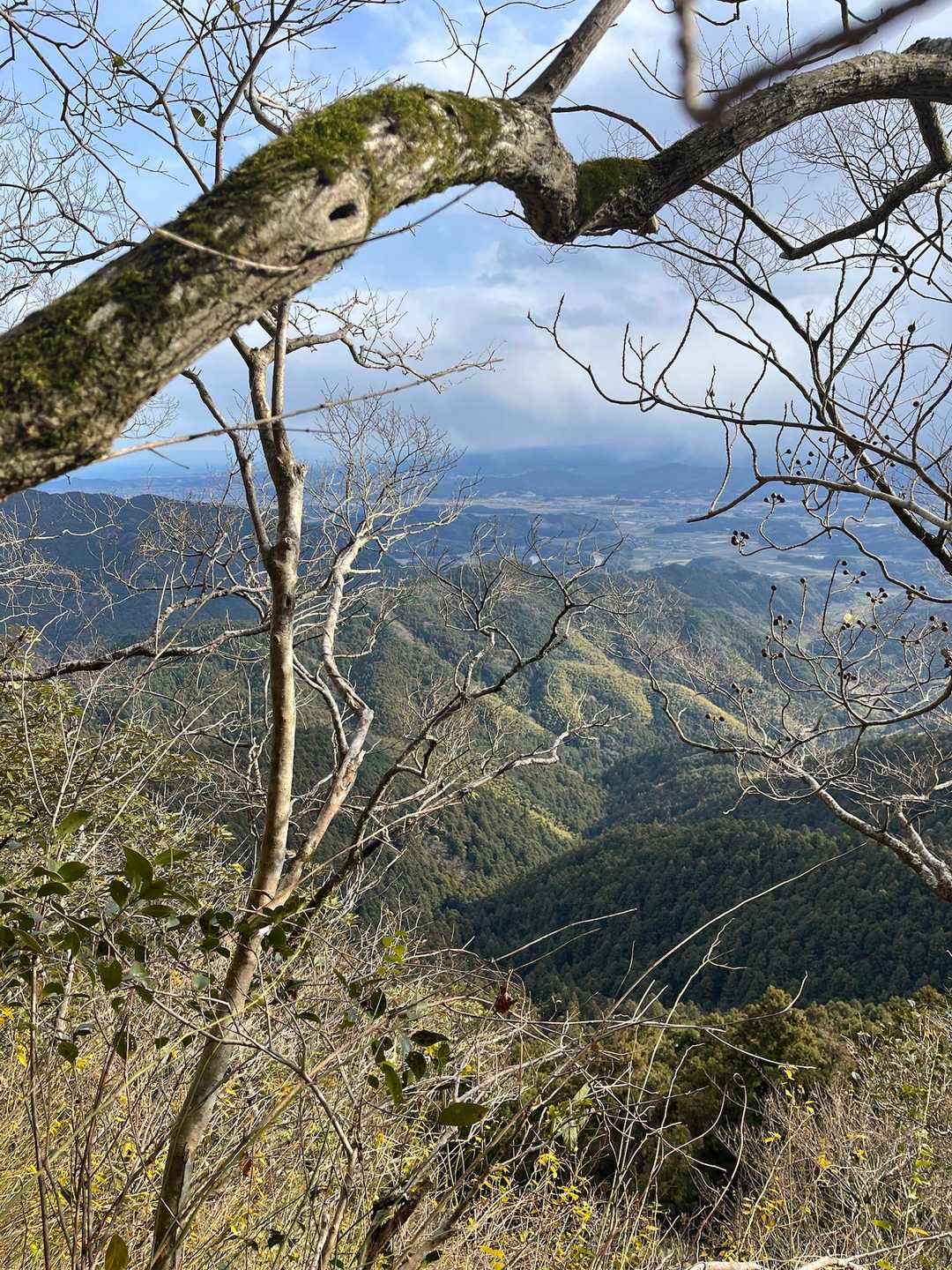 やっと景色が綺麗に見えた🤩