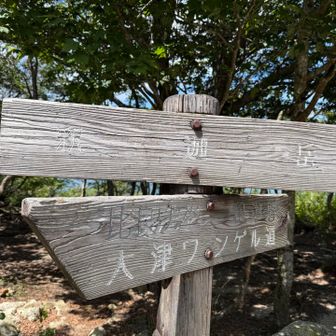 釈迦岳
ここも久しぶりな気がする