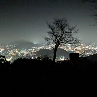 高嶺城跡 展望所からの夜景