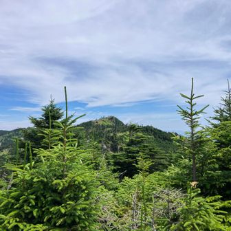 八経ケ岳の山頂