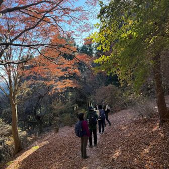 紅い🍁！

嬉しい限りです♪