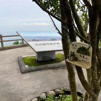 山頂は曇り空。妻は一昨日に献血したのでフラフラらしく山頂で20分待ちました😅