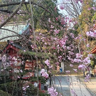 ここからスタート