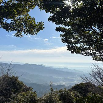 眺めはこんなで。坂根に下る登山道付近でコーヒータイム🥪☕︎目の前を🐗5頭駆け抜けて行く😳