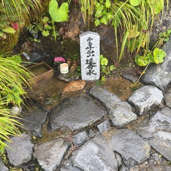 妻から長生きしすぎるので飲むな！と言われた。