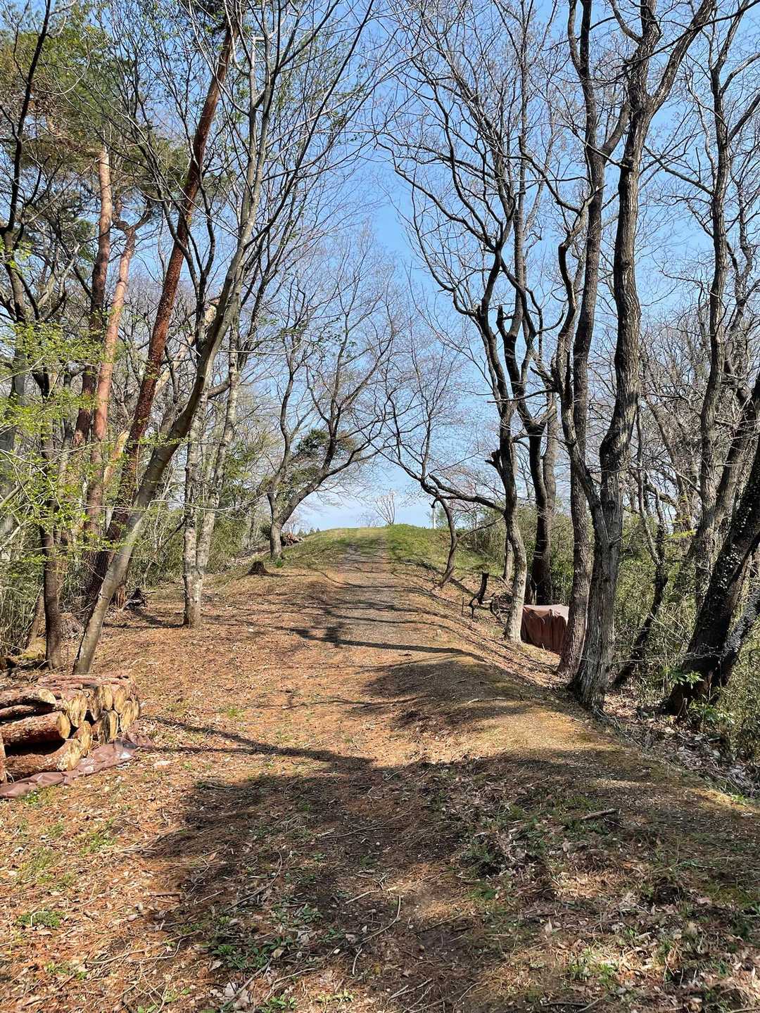 天気☀︎良し♪
暖かくてまだメマトイとかもいないから快適に歩けます🚶‍♀️