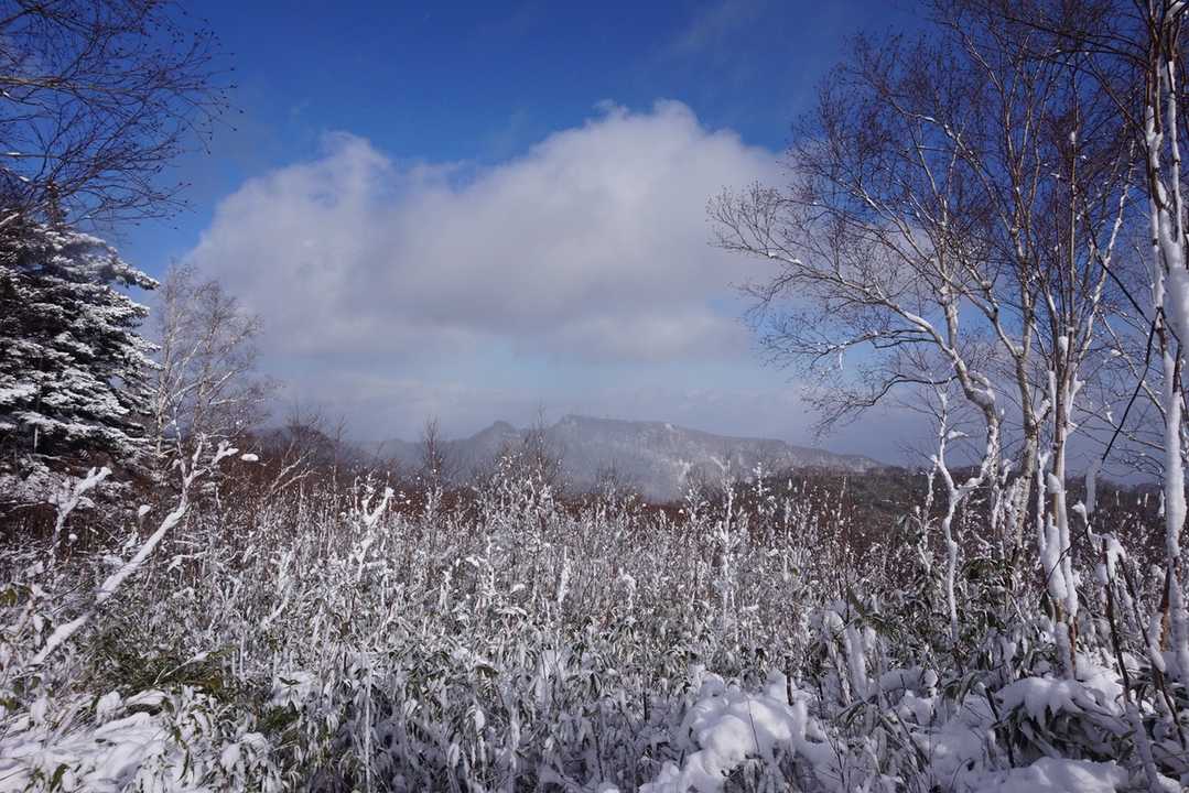 手稲山✨✨ヤッホー
そっちも雪かい？