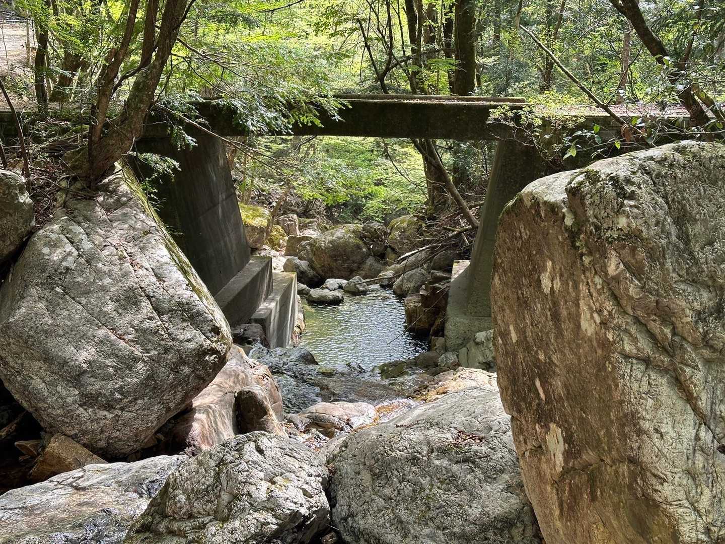 夏木新道登山口の手前の広場に車を停めて犬流れ越登山口からスタート✨
すれ違った方から犬流れは急登が凄いって聞いたけど、帰路の夏木新道も中々の急登でしたね😂
ただ、夏木新道は岩場が無いから初心者でも歩けそうですね🤡コッチは初心者には厳しそう👀