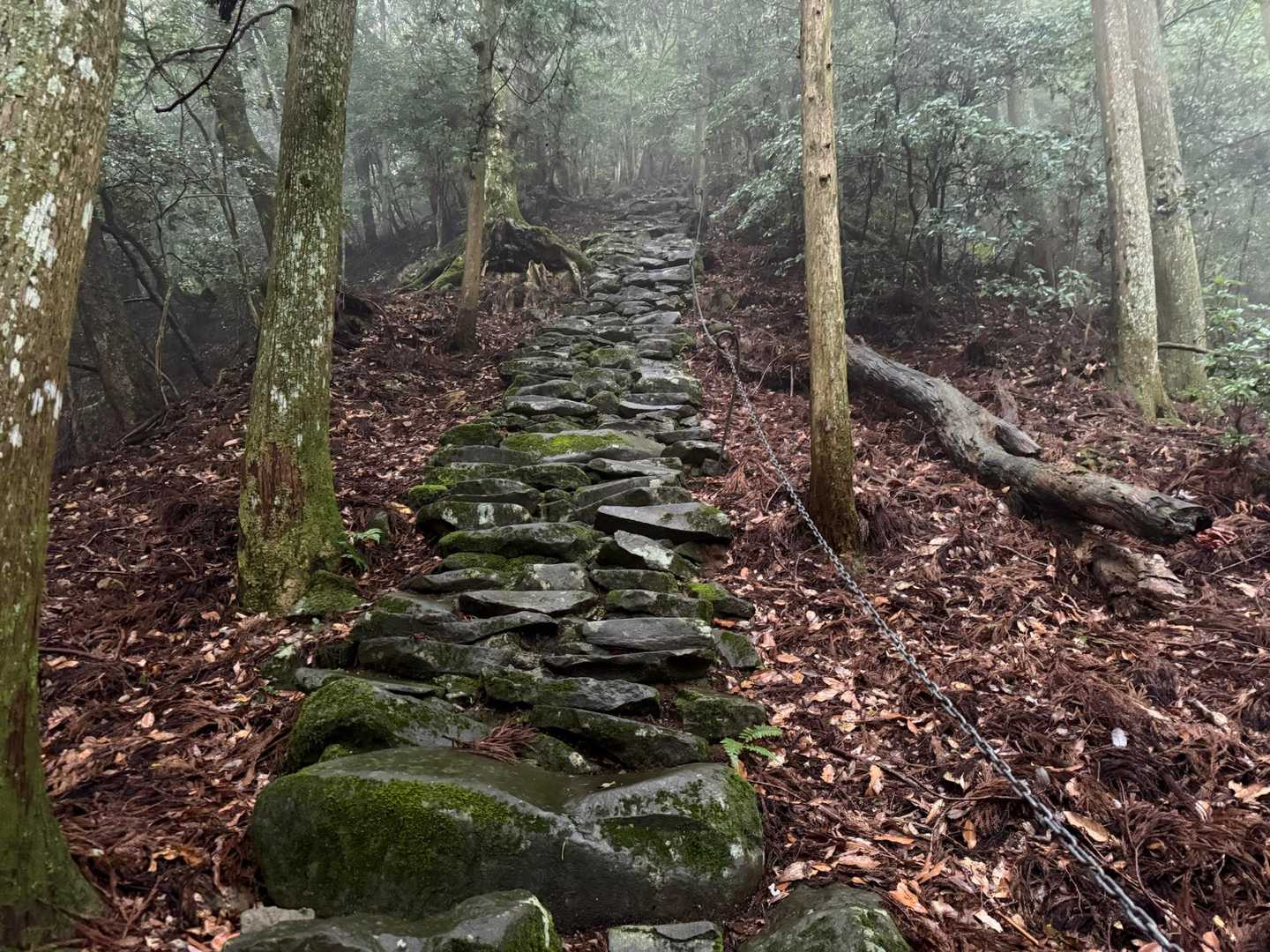 求菩提山 往復コースの写真