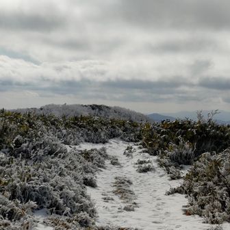 山頂は広々してる