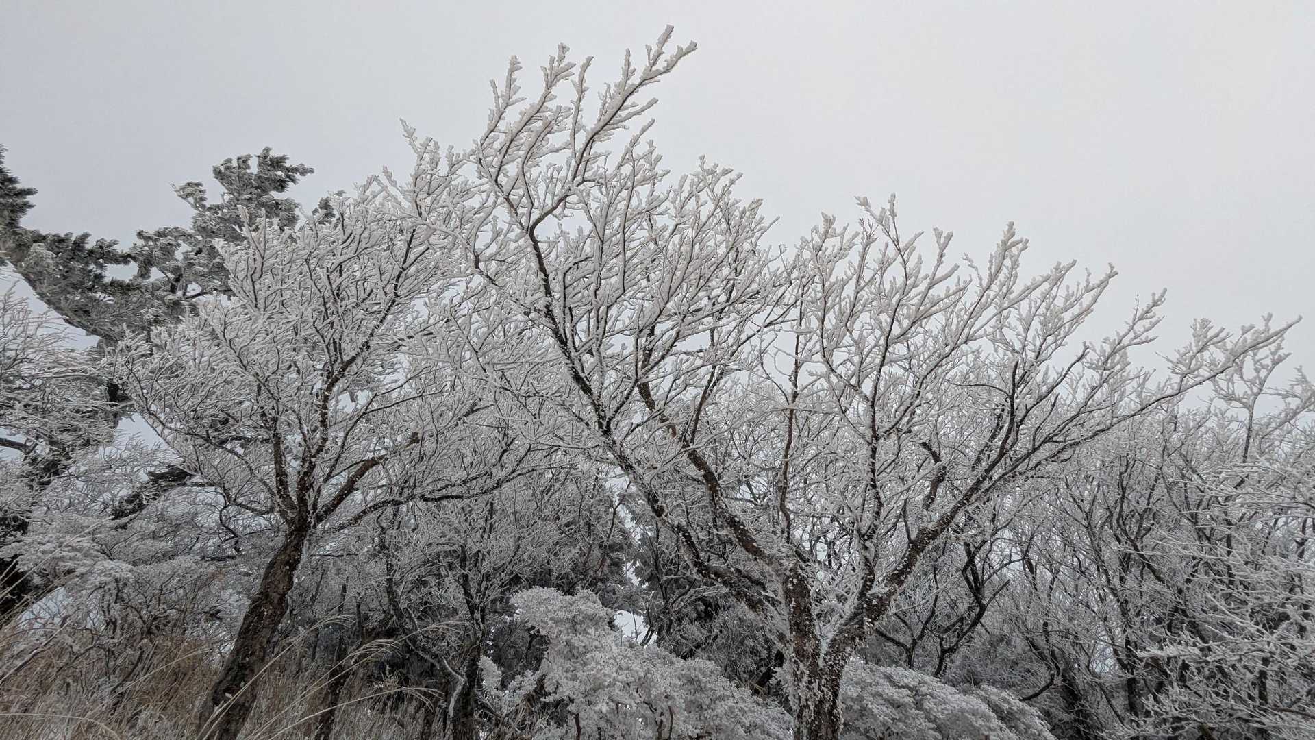 進むうちに福万山上空にも雪雲襲来☁☁☁