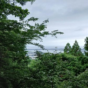 木々の隙間からちょっとだけ海が見えた