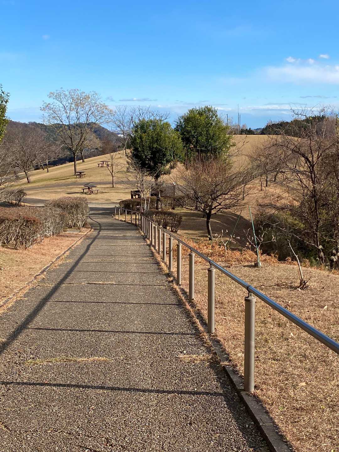 公園に戻りました