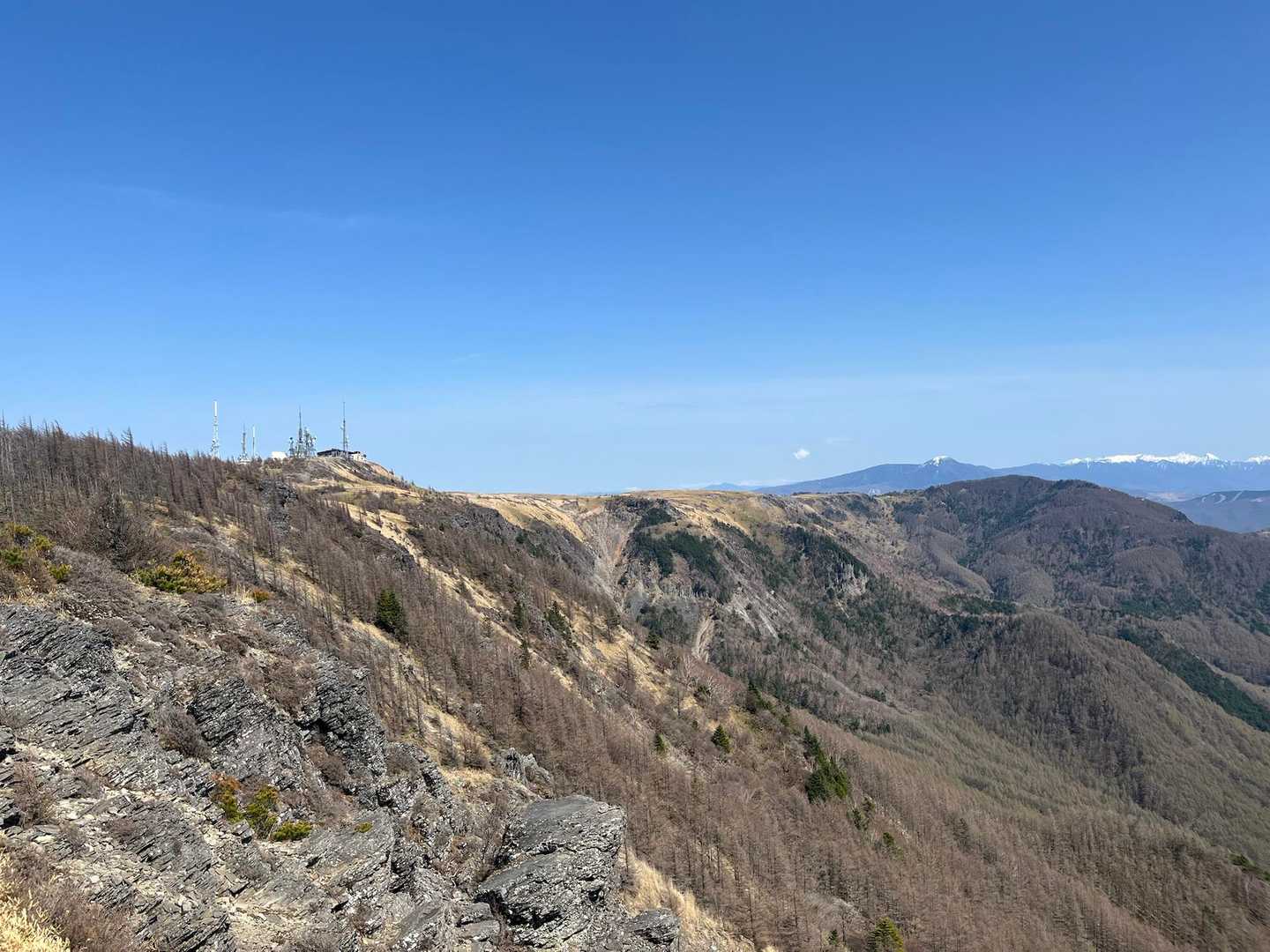 桜清水登山口-王ヶ鼻-美ヶ原 周回コースの写真