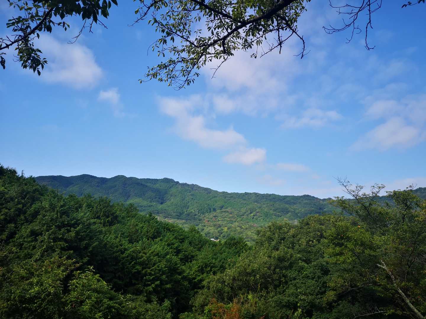 叶岳登山口-叶岳-高地山 周回コースの写真