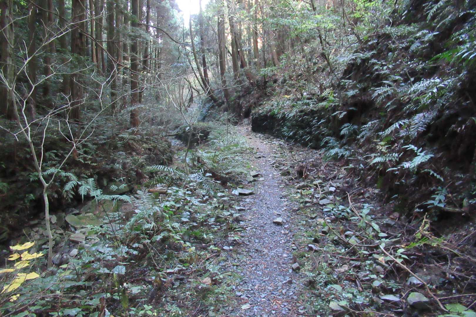 沢に沿って・・・