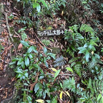 右手にモッチョム太郎