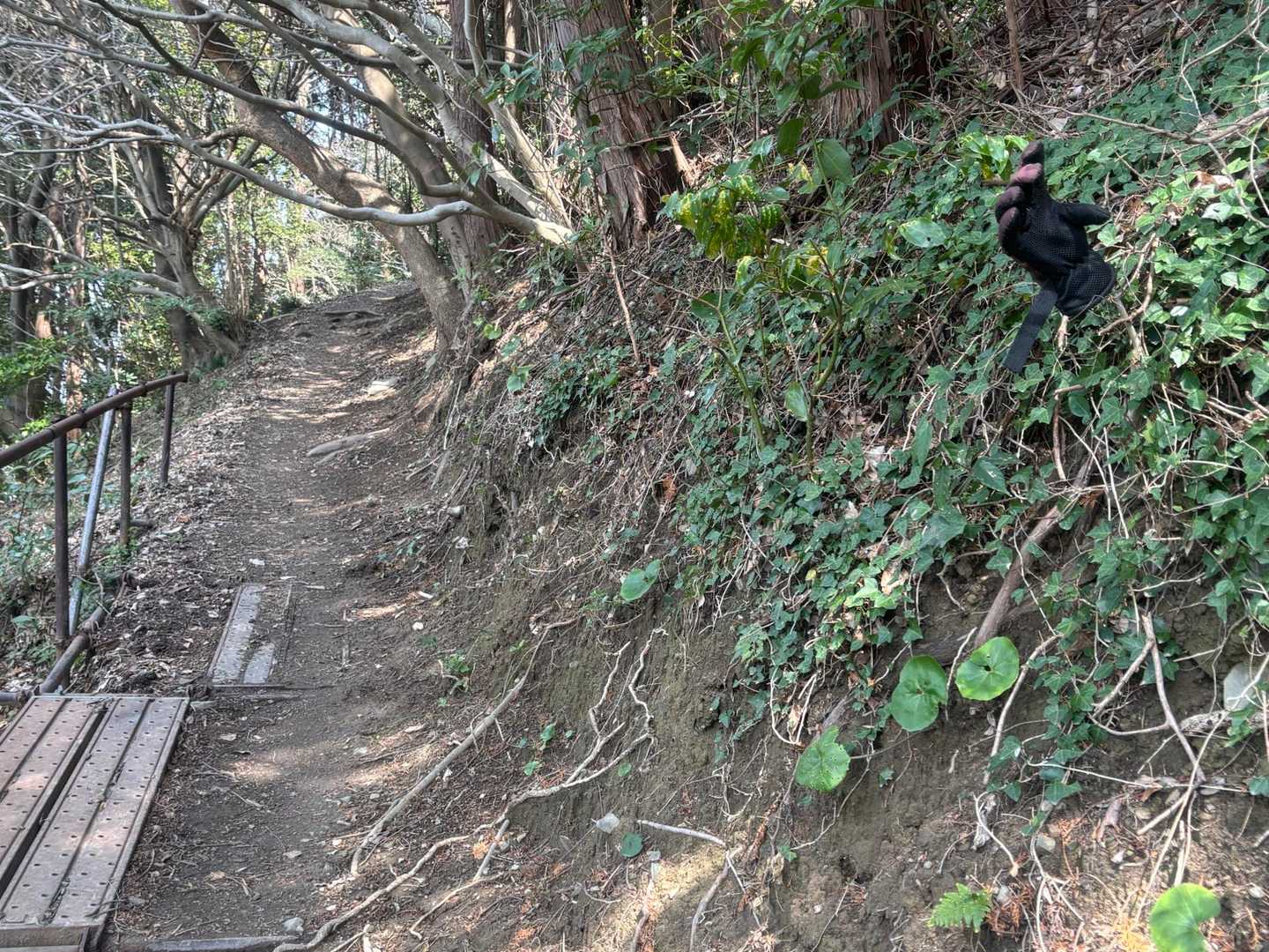 突然横からマドハンドが現れた❗️
こみは腰が砕けそうになっている！
・
・
・
こみは逃げ出した！

「道が細くなっている」注意の看板後にこの手袋の差し方はイカンすよ...😰