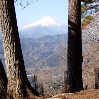 犬目丸のいつもの富士山🗻