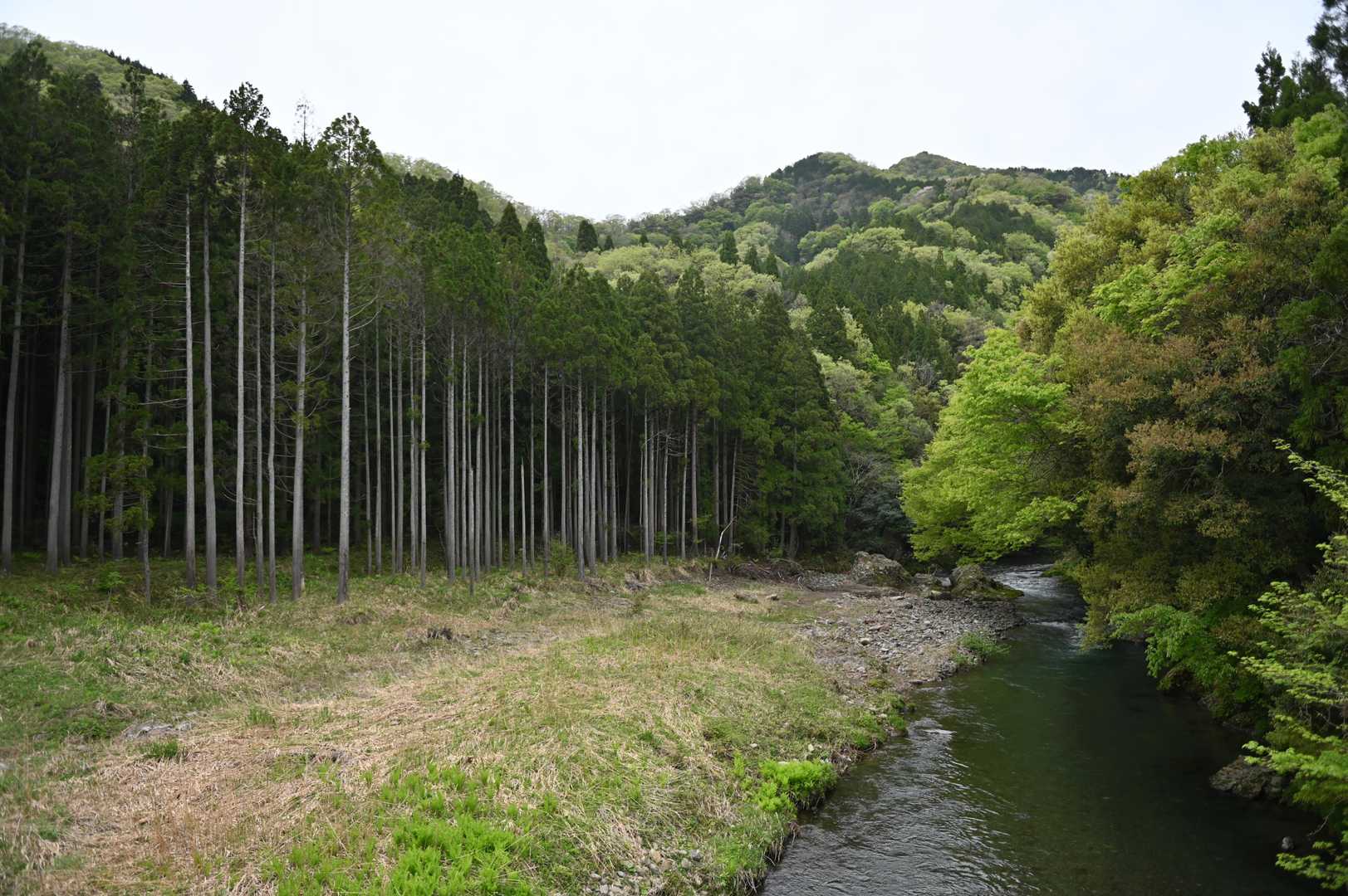 無事、戻ってきました。
お疲れ山⛰️