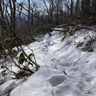 ようやく雪。朝早ければチェンスパがあると安心かも。この時間なら不要。