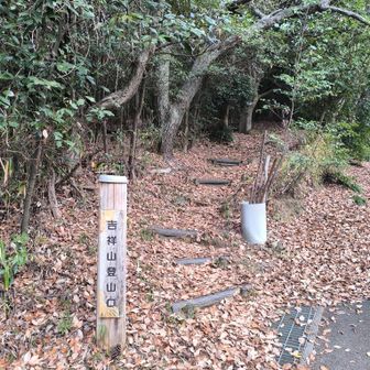 慎重に下山。久々の山歩きで気分スッキリ
