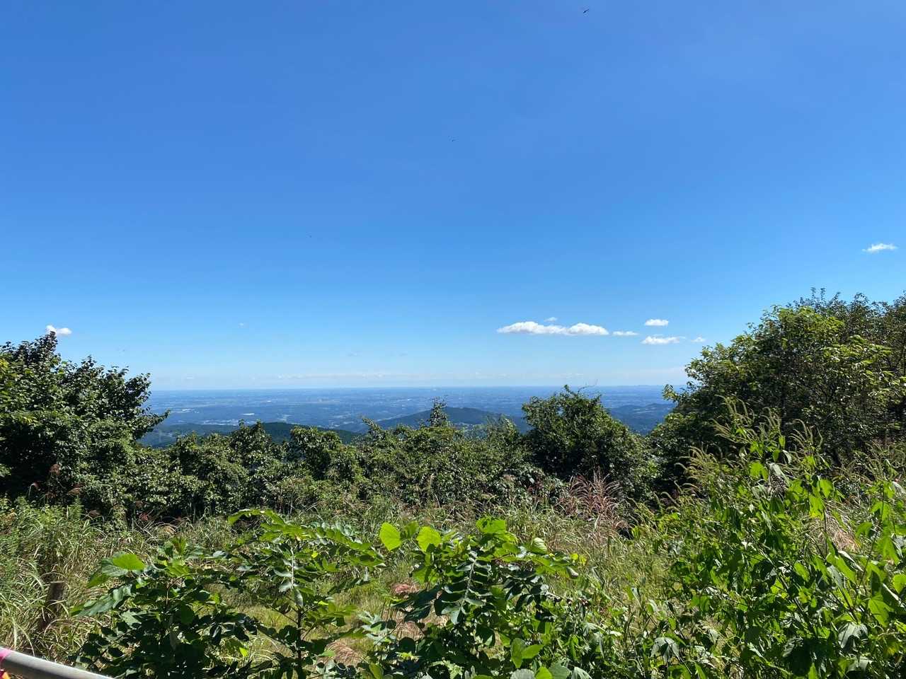堂平山-七重峠-笠山峠-笠山 往復コースの写真