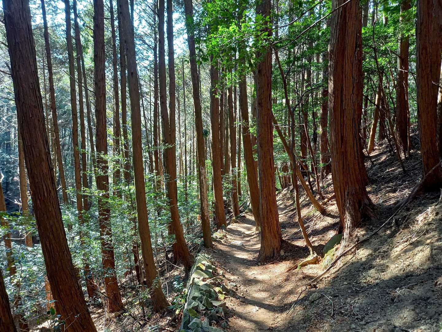 随願寺-増位山-廣峯神社-弥高山 周回コースの写真