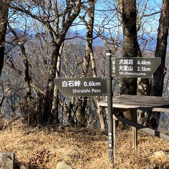 加入道山山頂到着。陽当たりが良い場所。このすぐ下に避難小屋があった。