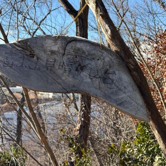 富士見見晴らし台