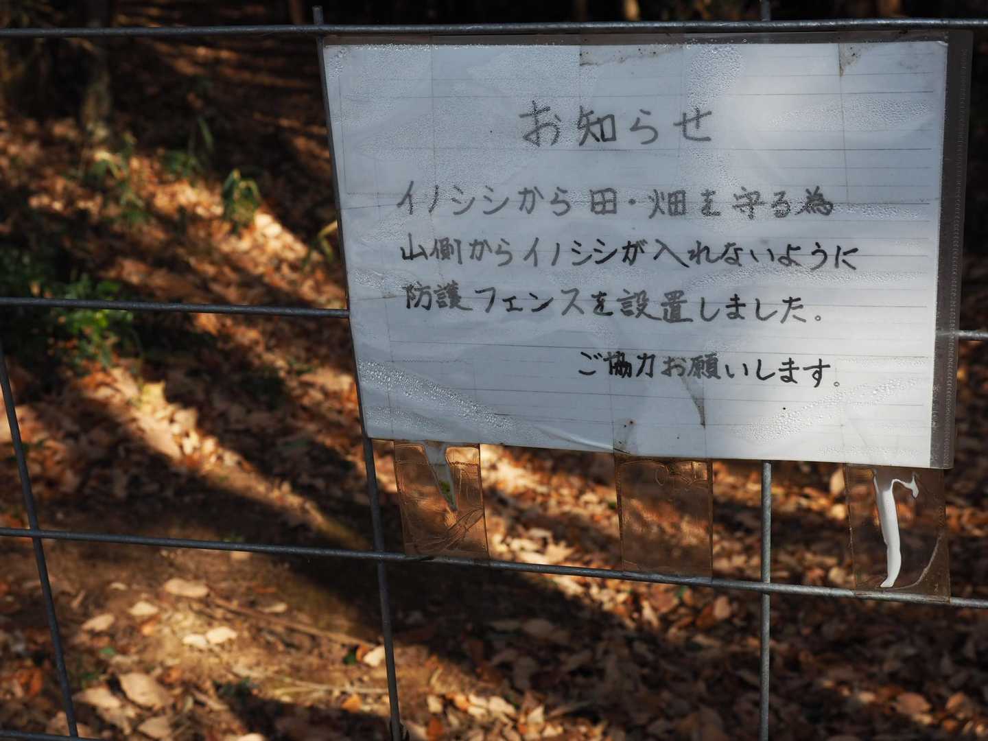 深刻ですね…