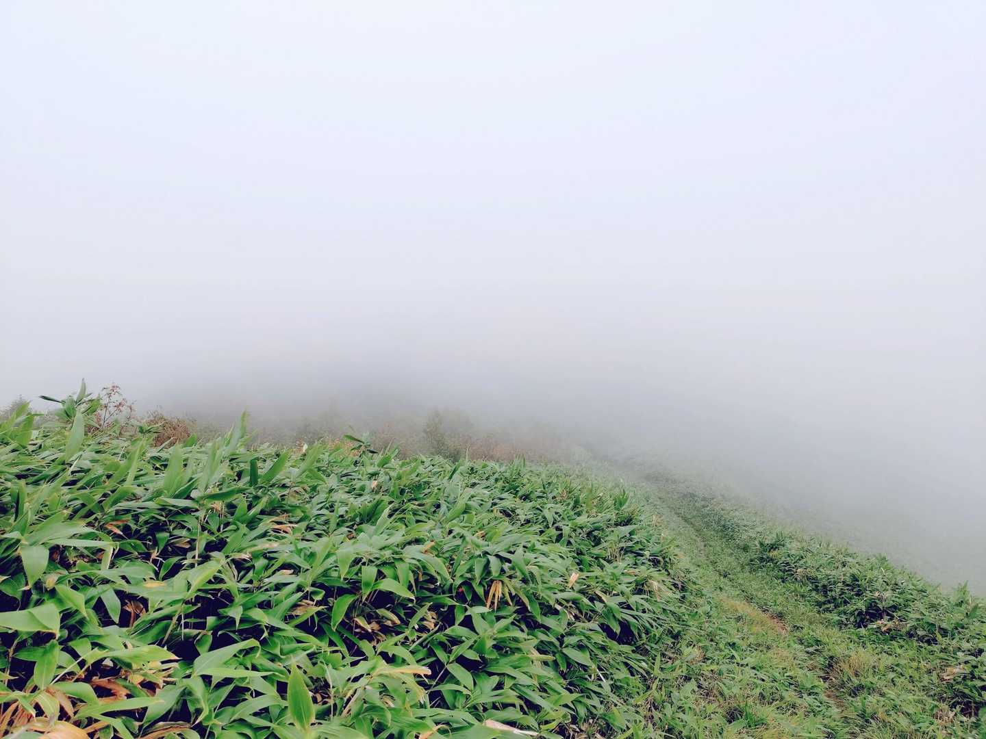 佐幌岳へ！本領発揮中のガス😶‍🌫️