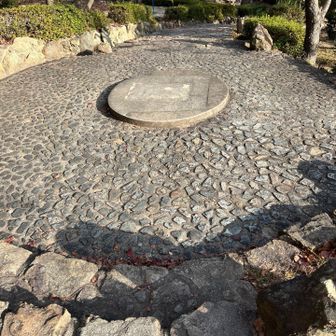 帰ってきました