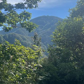 樹木の間から米山が見えました
山頂の避難小屋もはっきりと見えてる

この角度から山頂にある避難小屋が見える感じは氷ノ山と似てるなぁ