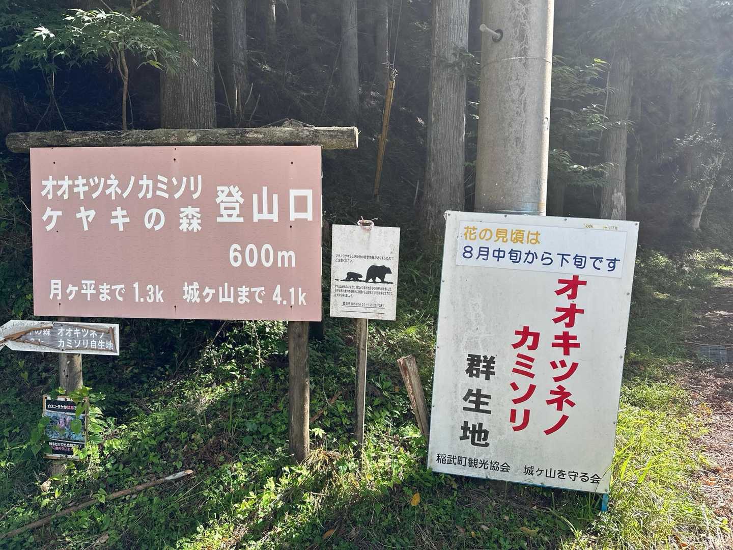 群生地まではすぐ