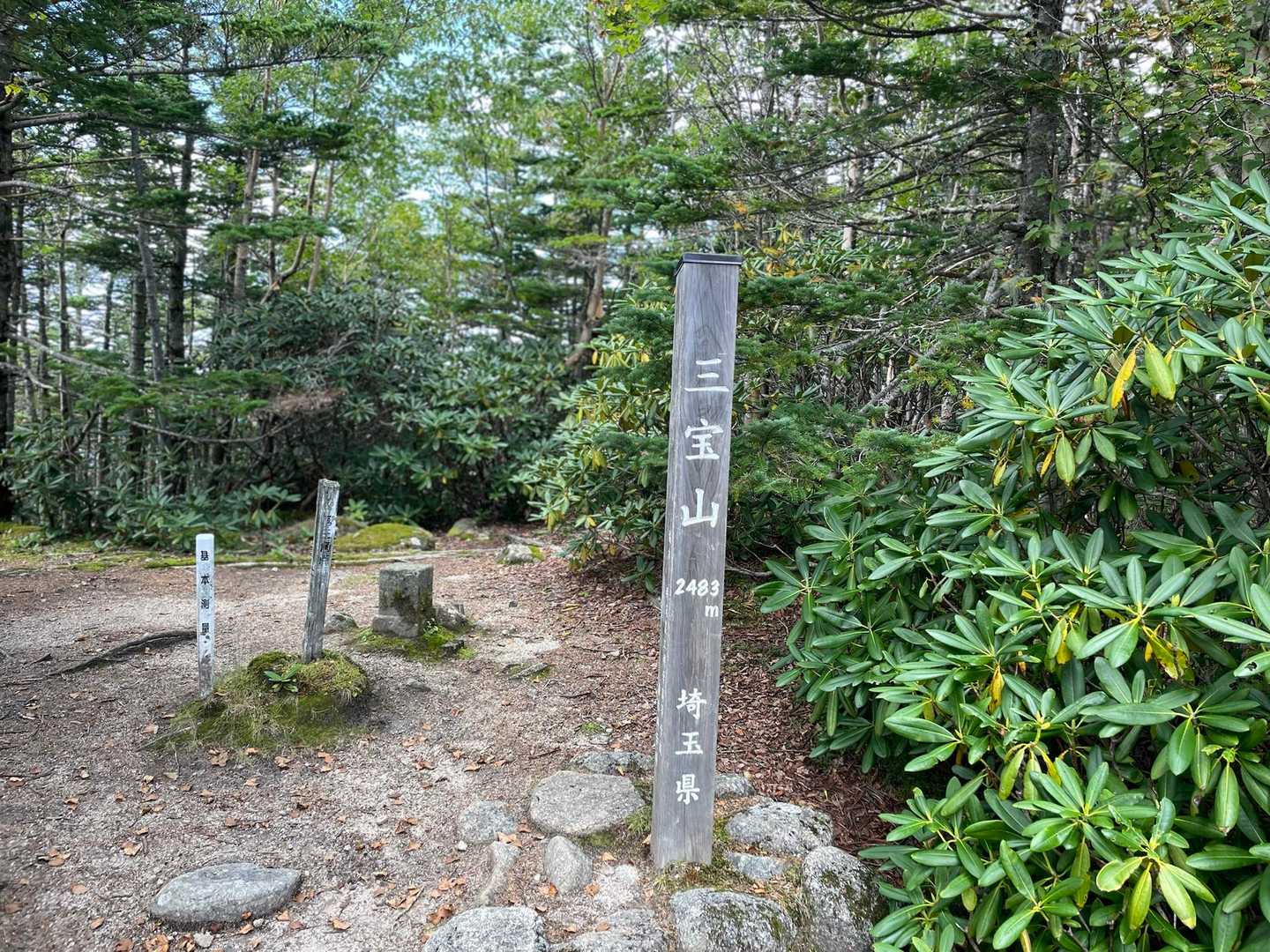 三宝山（2483）登頂
眺望は全くありません
埼玉県最高峰
甲武信ヶ岳（2475）より標高はあるのですね