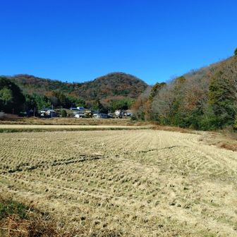 スタート直後ののどかな風景！
今日は平和な里山歩き♪