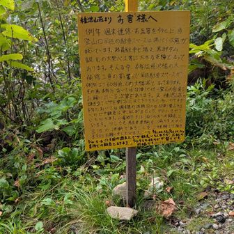 柏原新道入口に書かれてた
